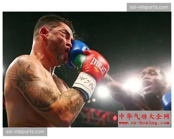 “技术统计显示：阿贾巴全场出拳数仅为对手一半，但重拳命中率领先20%”